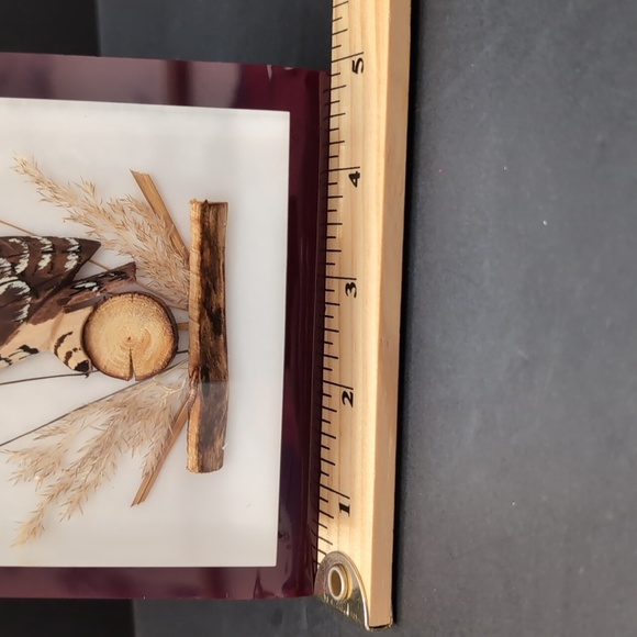 Vintage Lucite Encased Carved And painted Owl In a Maroon Frame. - Picture 9 of 9